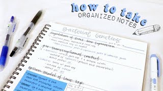 how to take organized notes & study effectively! | christylynn