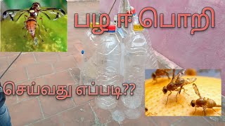 #பழஈபொறி  செய்வது எப்படி? | #fruitfly trap | #கருவாட்டு பொறி|#பீர்கங்காய் விவசாயம்