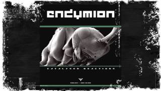 Endymion - The Art Of Time