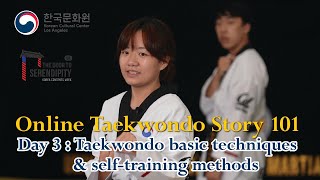 Day 3. Taekwondo basic techniques & self-training methods