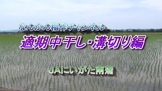 【なんかん稲作チャンネル】適期中干し編