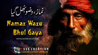 New Kalam Baba Bullah Shah | Mera Piya Ghar Aya Sufi Kalam | Punjabi Sufiyana Kalam | Xee Creation