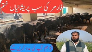 All The Worries Of The Farmers Are Over|Let's Buy Animals And Get Double Benefit|BTO