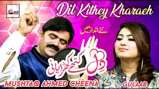 Dil Kithay Kharayai | Gulaab & Mushtaq Ahmed Cheena | New Punjabi / Saraiki Song 2020 Latest