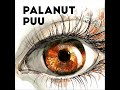 palanut puu