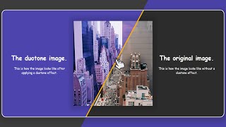 Build Split Screen Landing Page UI Design Using HTML CSS And JS