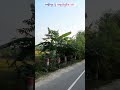 লক্ষ্মীপুর টু মজুচৌধুরীর হাট bike traveling 🚳