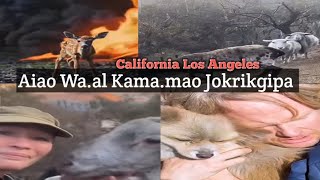 California Los Angeles Aiao Wa.al Kama Mao Jokrikgipa