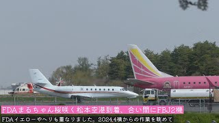 FDAまるちゃん桜咲く松本空港到着、合い間にビジネスジェット2機FDAイエローやヘリも重なりました。2024.4横からの作業を眺めて