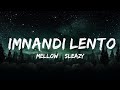 1 Hour |  Mellow & Sleazy x SjavasDeejay x TitoM - Imnandi lento (Lyrics) feat. Tman Xpress  | Lyri