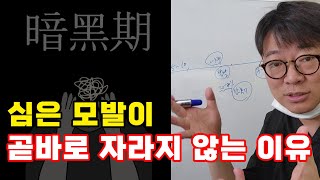 모발이식 했는데, 머리가 안 자라요!