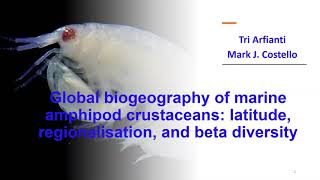 Global biogeography of marine amphipod crustaceans: latitude, regionalisation, and beta diversity