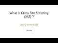 What is Cross Site Scripting (XSS)?