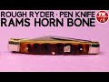 Rough Ryder Rams Horn Bone Pen Knife RR1596