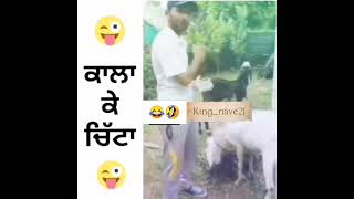 ਕਾਲਾ ਕੇ ਚਿੱਟਾ 🤣🤣🤣 || ਹੱਸ ਹੱਸ ਪਾਗਲ ਹੋ ਜਾਓਗੇ || Funny whatsapp status || #funny #comedy #funnyvideo