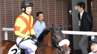 【武豊】初ダート戦ミッキーアイル産駒エリカソレイユ残り2週となった3歳未勝利戦に挑む