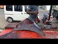 biggest 50kg manda rayfish kombu thirukkai meen cutting skills...