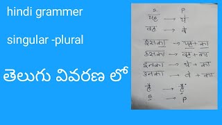 హిందీ ఏక వచనం బహువచనంలో ఎలా మారుతుంది? // హిందీ వ్యాకరణం విశ్లేషణ