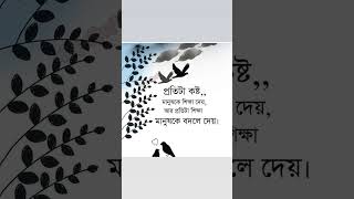 প্রতিটি দুঃখ কষ্ট বেদনা মানুষকে শিক্ষা দিয়ে যায়। দুঃখ#কষ্ট