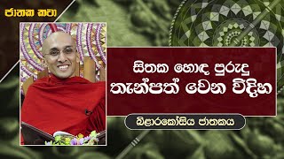 05) හිතක හොඳ පුරුදු තැන්පත් වෙන විදිහ  (බිළාරකෝසිය ජාතකය) | ජාතක කතා | Jathaka Katha