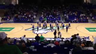 FGCU Dancing E'Gals 2014-2015 Kick Routine