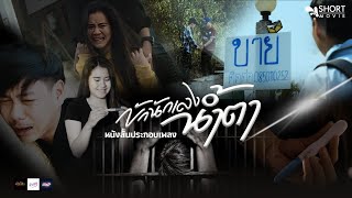 หนังสั้นประกอบเพลง "บักนักเลงน้ำตา"  เมย์ เมขลิน [Short Film] เชียงคำโปรดักชั่น