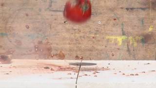 Tomato explosion (slow motion / 400fps)