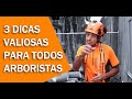 Três dicas importantes para arboristas.