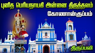 🅻🅸🆅🅴 - 27-12-2024 | Friday Tamil Mass | Our Lady Periyanayagi Shrine Konankuppam | Mercy TV