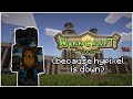 The Wynncraft Experience