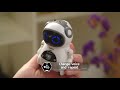 mini robot parlant avec dialogue interactif