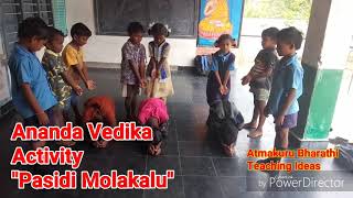 Ananda vedika activity \