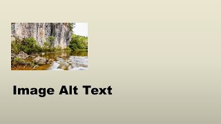 Document Accessibility - Image Alt Text