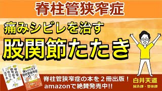 【脊柱管狭窄症 痛みシビレを治すストレッチ】『股関節たたき』 大阪・住之江区の脊柱管狭窄症専門の整体【西住之江整体院】