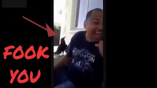 Funniest Cursing  Birds Compilation MUST SEE 🐦🐦