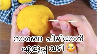 ♨️നാരങ്ങ പിഴിയാം എളുപ്പത്തിൽ ✅ Eacy way to squeeze out lemon juice||