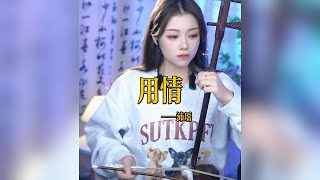 【二胡沛瑤】《用情》 二胡沛瑶 Erhu LIVE Tangyin 唐音乐队 Chinese Music 國樂 乐器演奏 中國樂器 Chinese music