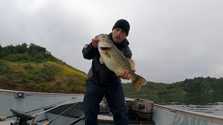 Biggest Fish Of The Year So Far! Lake Casitas May 2024