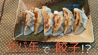 サバ缶を使った餃子美味しすぎる！