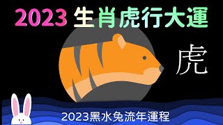 2023 生肖虎行大運 五喜臨門 財官貴人  十二生肖運程 屬虎的運勢 巧遇知己 創造生意 分享財富