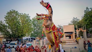 राजस्थानी ऊंट का ऐसा डांस आप ने पहले कभी नहीं देखा होगा | New Marwadi Dj Song 2023 | New Camel dance