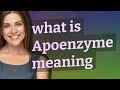 Apoenzyme | meaning of Apoenzyme