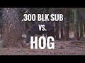 .300 BLK Sub. TUI® VS. Hog | Fort Scott Munitions