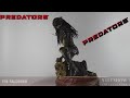 falconer predators sideshow predator follow cloud