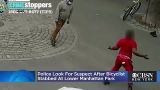 Bicyclist Stabbed At Lower Manhattan Park