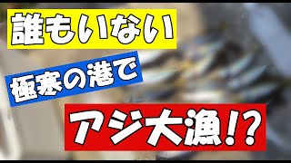 アジ　浮きサビキ釣り！　誰もいなくなった極寒の漁港で釣れるの？