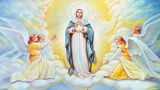 Holy Rosary - Luminous Mysteries - Thursday