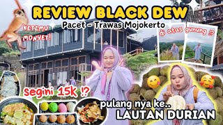 ROSILINDI REVIEW PESONA MOJOKERTO BLACKDEW CAFE TRAWAS || LAGI SUNTUK? WAJIB NONTON INI