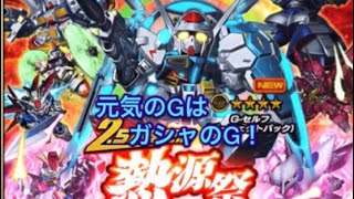 [Sガンロワ]微課金中級者が引く！2.5周年熱源祭ガシャ！Gセルフ解禁！