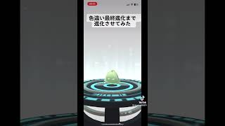 #色違い#ポイント#最終#進化#させてみた#岡崎体育#キミの冒険#ポケモンgo